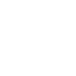 CLEAN
